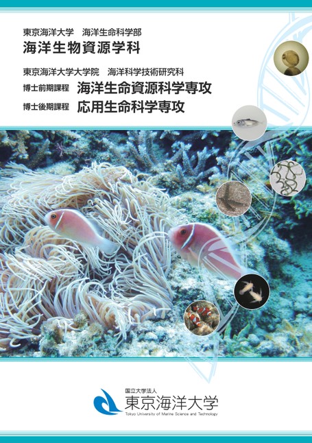 東京海洋大学 海洋生命科学部 海洋生物資源学科 学科案内21 東京海洋大学 海洋生命科学部 海洋生物資源学科 学科案内21
