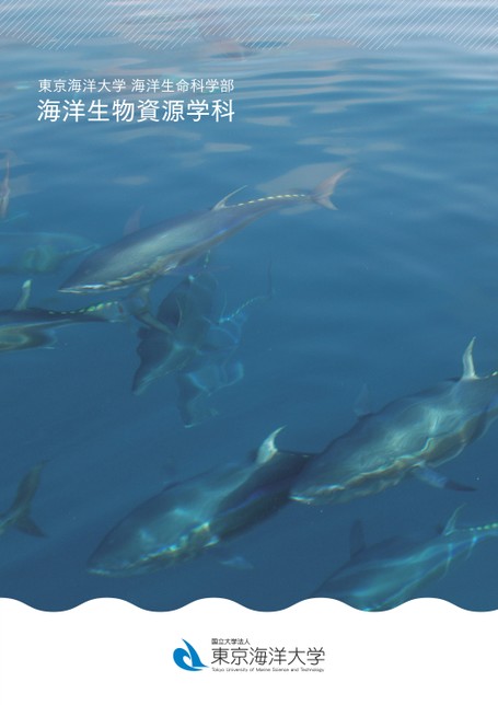 東京海洋大学 海洋生命科学部 海洋生物資源学科案内22