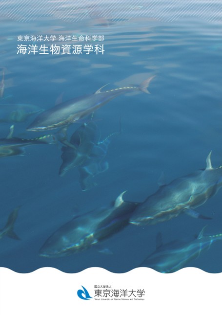 東京海洋大学 海洋生命科学部 海洋生物資源学科案内22 東京海洋大学 海洋生命科学部 海洋生物資源学科案内22