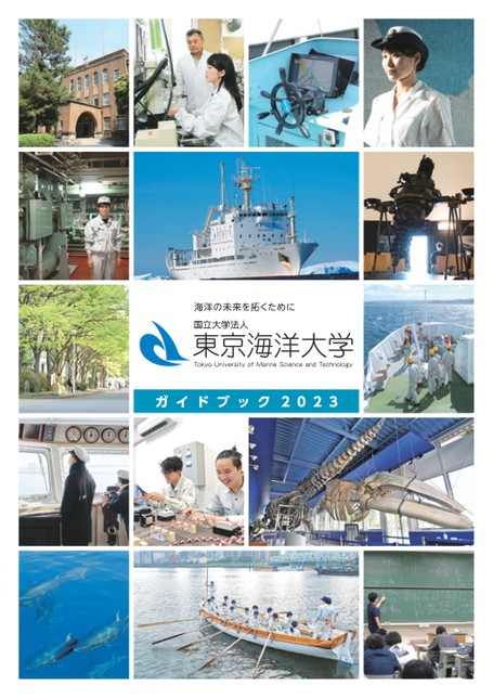 Amazon.co.jp: 改訂新版 海洋大図鑑-OCEAN- (DKブックシリーズ