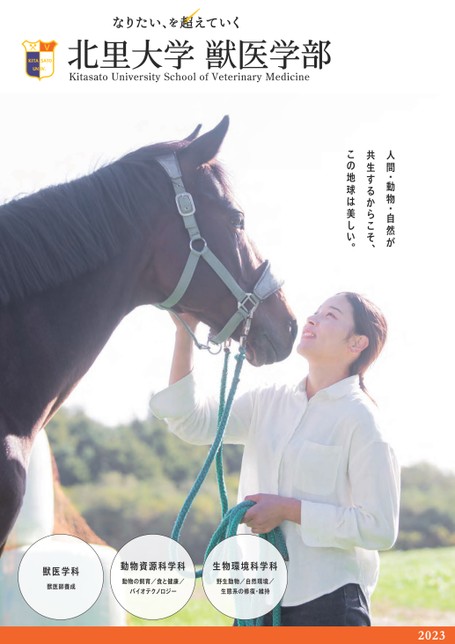 北里大学獣医学部案内23
