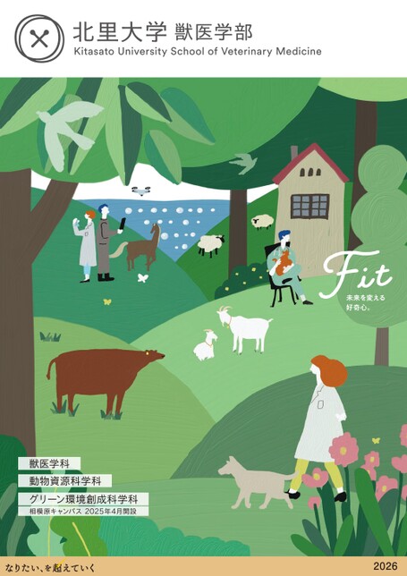 北里大学医学部 赤本セット 2001年度版 2017年度版 2019年度版 北里大学