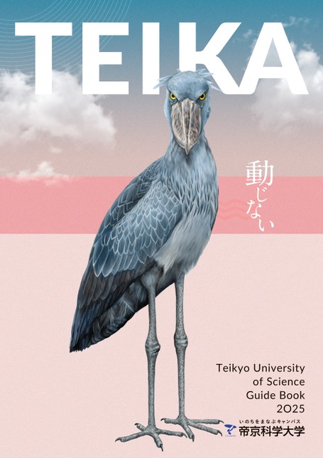 【楽天カード分割】 帝京科学大学Guide 2025 Book 器具・手術用器具