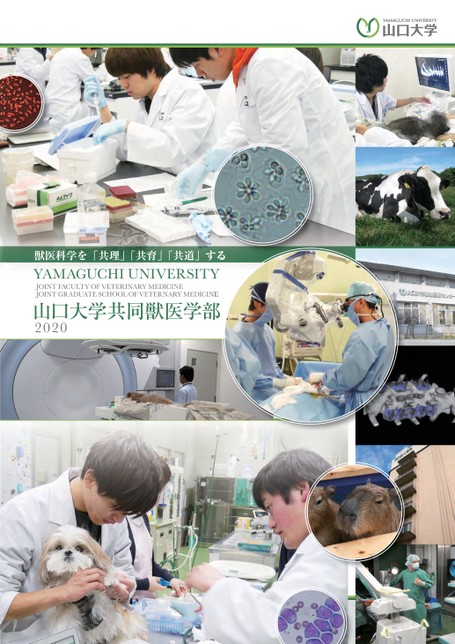 山口大学共同獣医学部